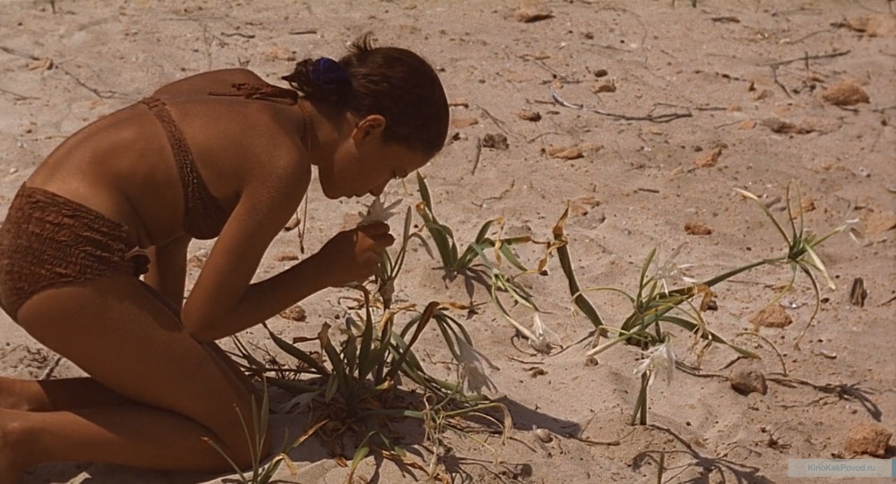 «Красная пустыня» - «Il deserto rosso»  (реж. Микеланджело Антониони, 1964) - фильм (фото, кадр)