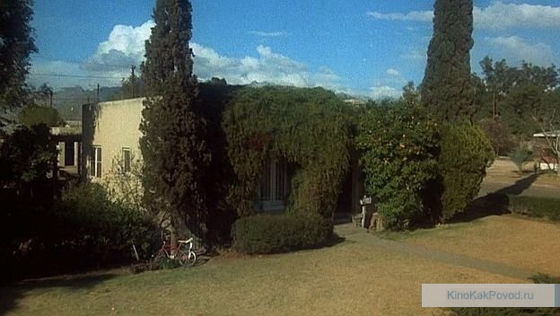 «Алиса здесь больше не живет» - «Alice Doesn't Live Here Anymore» (реж. Мартин Скорсезе,1974) - фильм (фото, кадр)
